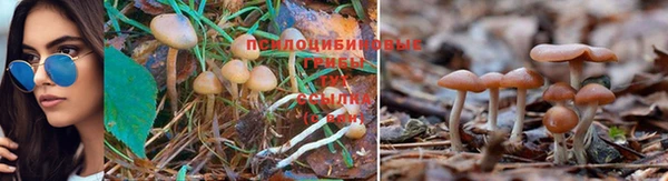 мефедрон Новодвинск