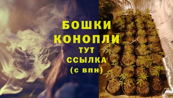 бошки Новозыбков