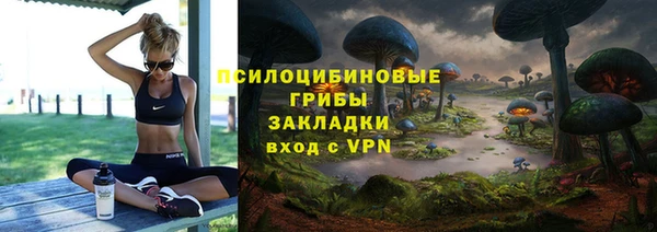 дурь Нягань