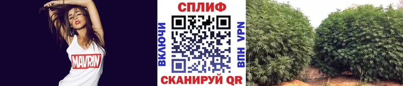 Купить закладки Когалым Бошки Шишки марихуана